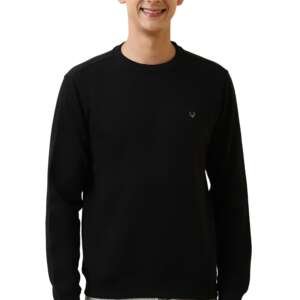Allen Solly Men's Crew Neck Sweatshirt (ASSTQRGFS70412_BLACK_XL)