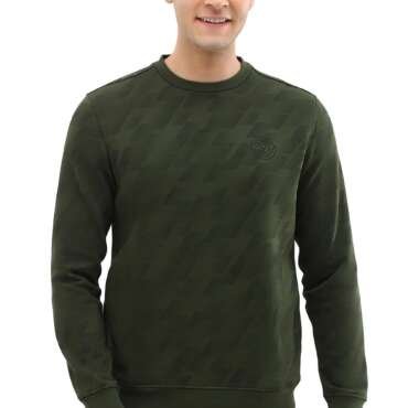 Allen Solly Men Olive Crew Neck Full Sleeves Casual Sweatshirt